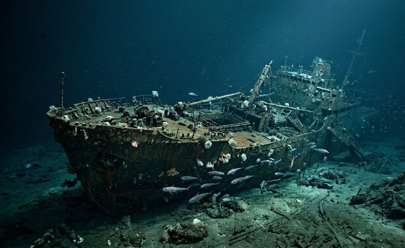 Директор Единого научного центра Минприроды обсудил в эфире «Радио России» проблему затонувших судов